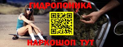 apvp Пугачёв