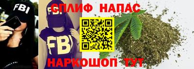 apvp Пугачёв