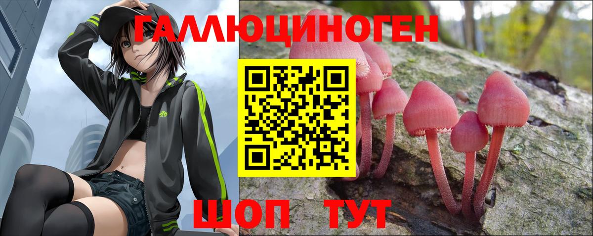 Анапа  где купить наркотик  Вход с VPN  Галлюциногенные грибы GOLDEN TEACHER  Галлюциногенные грибы Cubensis 