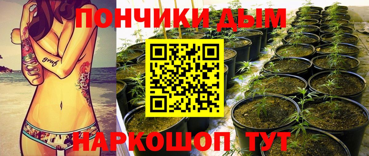 Бошки марихуана индика  Канабис VHQ  Бошки марихуана семена  Анапа  Вход с VPN 